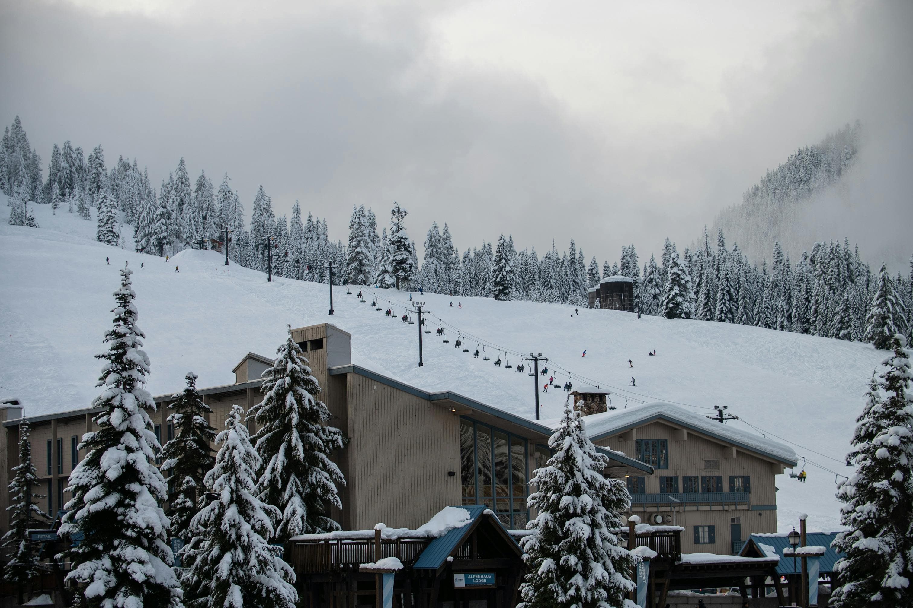 Grand Targhee Resort Snow Report and Mountain Overview