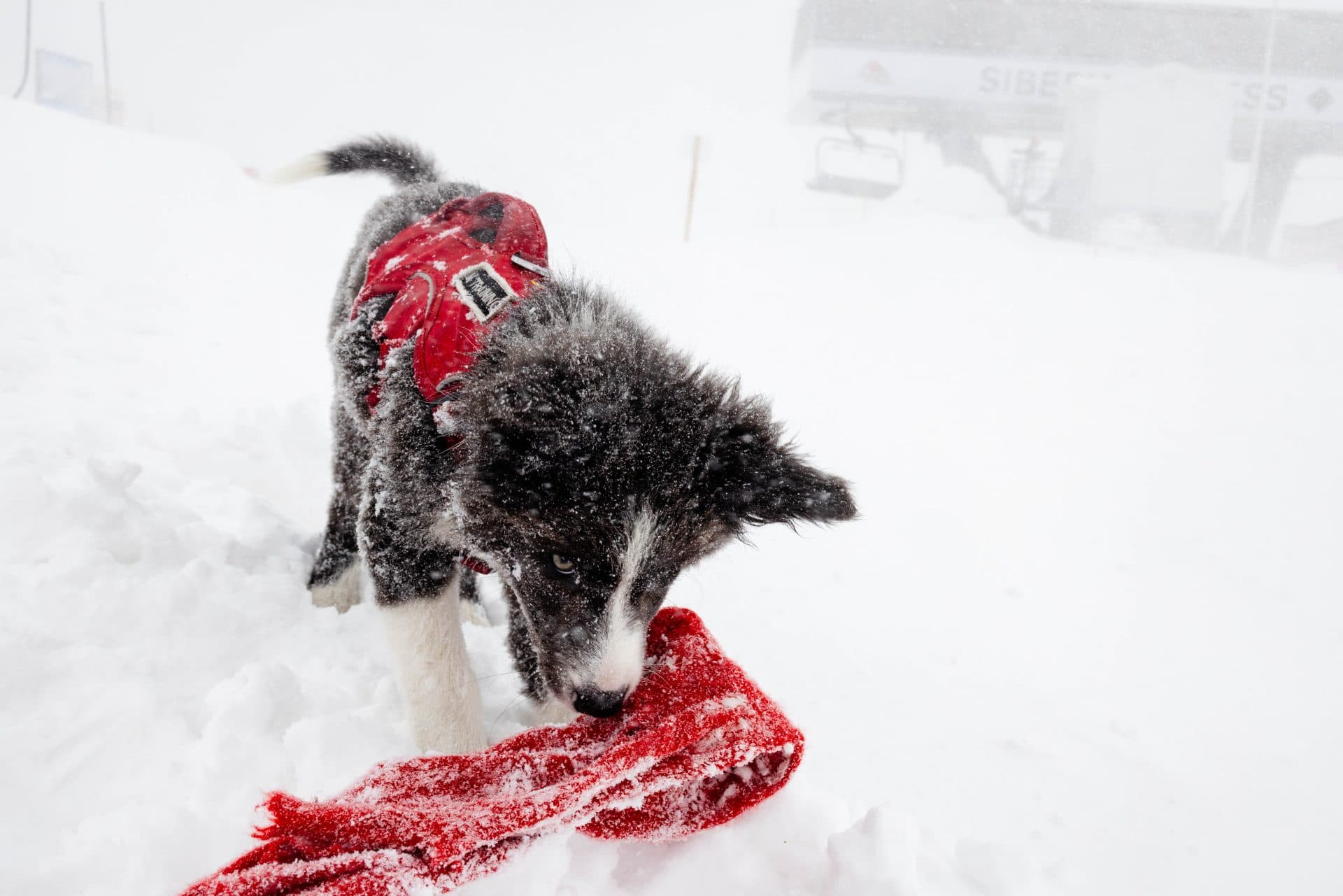Palisades Tahoe Records Massive April Snowfall Totals