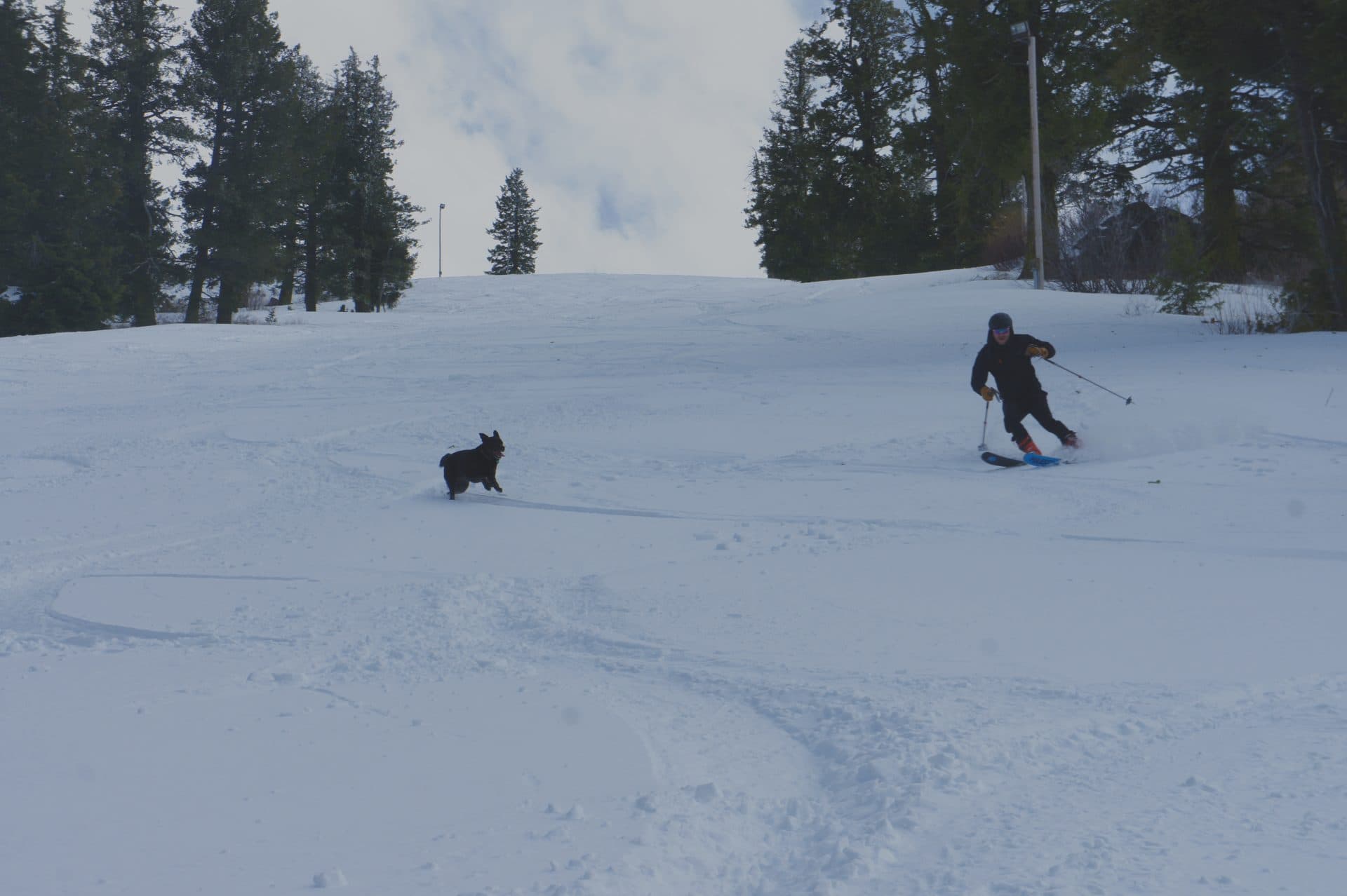 Bogus Basin's Unexpected Spring Revival: The Zombie Snowpack Phenomenon
